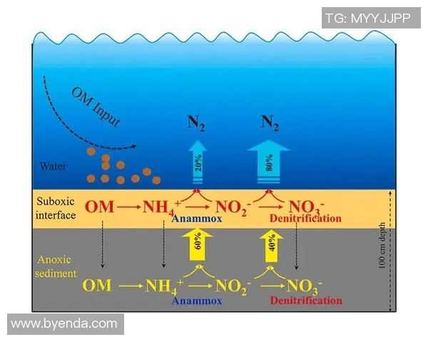 广州排球队的整体压制策略与战术分析深度探讨